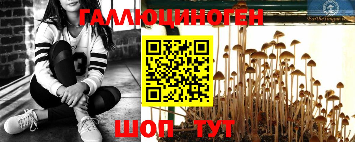 купить наркотики сайты  Вход с VPN  Ангарск  Галлюциногенные грибы MAGIC MUSHROOMS  Галлюциногенные грибы прущие грибы 